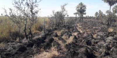 La quema intencional arrasó 6.000 hectáreas en San Luis del Palmar